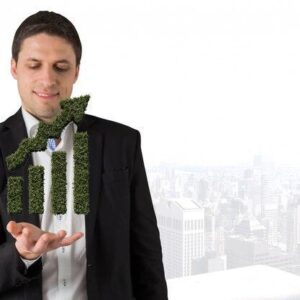 Dicas de investimento para iniciantes