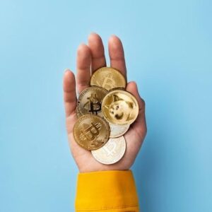 Investir em criptomoedas: o que você precisa saber