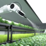 IA para Agricultura: Transformando o Futuro das Colheitas Sustentáveis