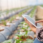IA para Agricultura: Revolução Tecnológica e Futuro Sustentável